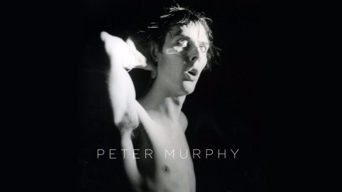 Peter Murphy
