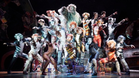 Cats